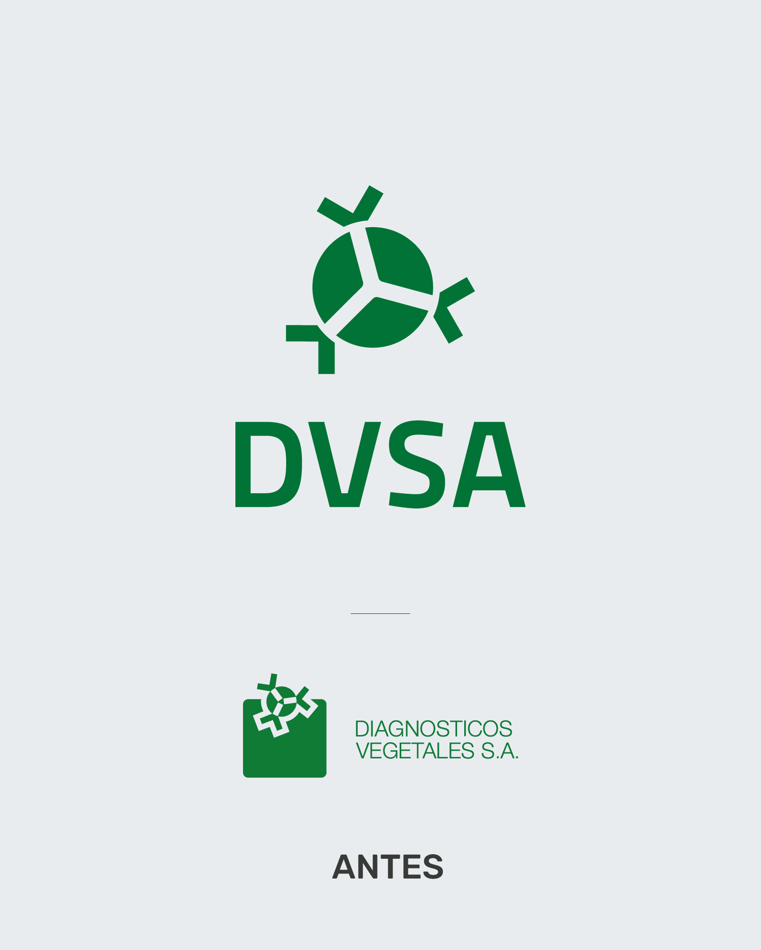 rebranding-dvsa